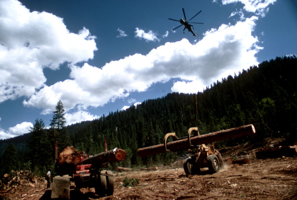 258 Stacking logs and helicopter logging