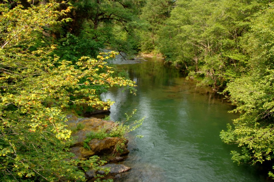 Jackson Creek, Umpqua National Forest