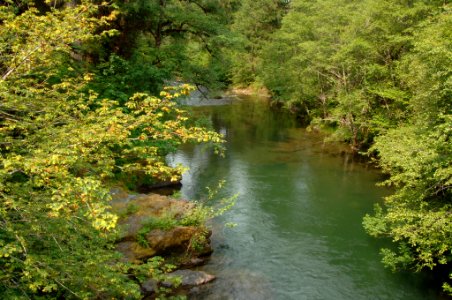 Jackson Creek, Umpqua National Forest