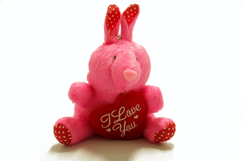 Plush stuffed animal love