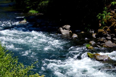 River recreation on the "Wild and Scenic" north Umpqua River