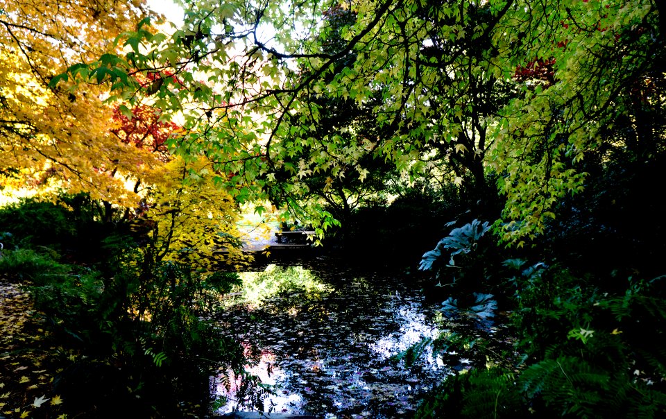 Washington Park Arboretum