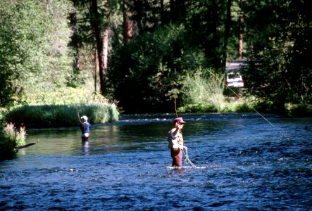 Fly fishing Metolius River, Deschutes National Forest