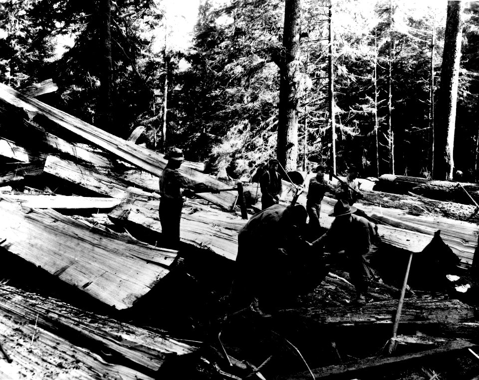 Riving a Log with Jacks 2
