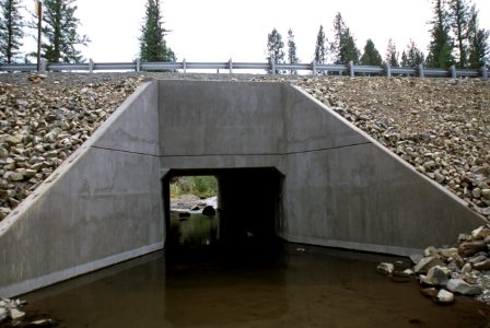 Stream restoration Clear Creek, Malheur National Forest photo