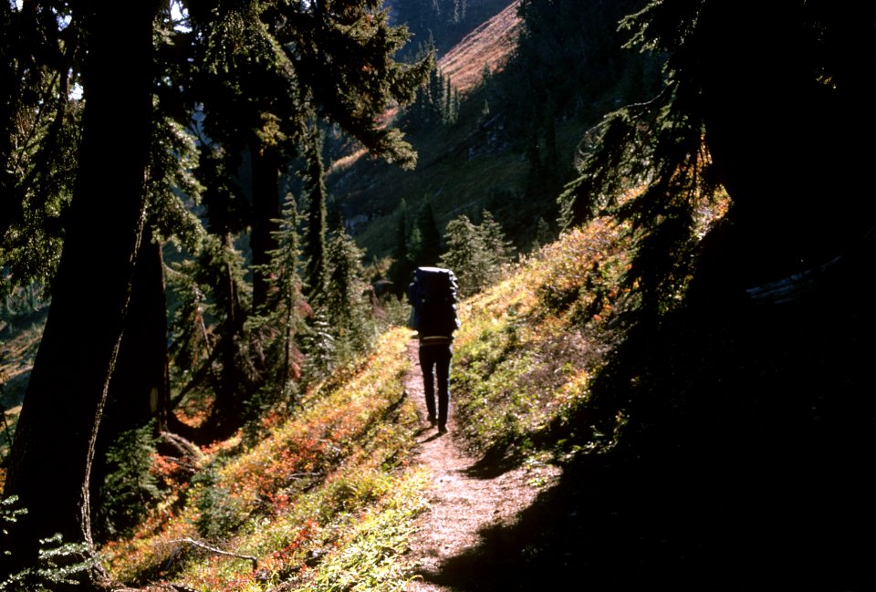 Goat Rocks Wilderness, Gifford Pinchot National Forest