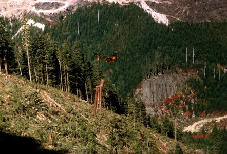 Timber operations, Willamette National Forest.jpg
