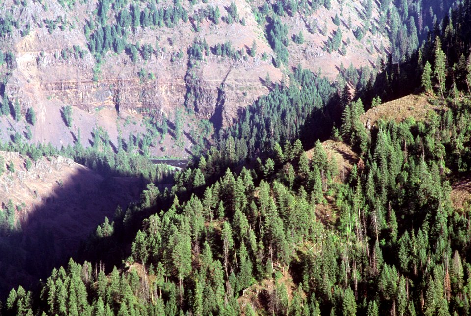 Grand Ronde River, Umatilla National Forest.jpg