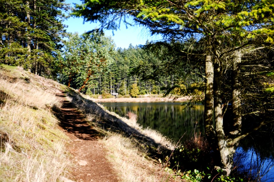 Pacific Northwest Trail around Cranberry Lake