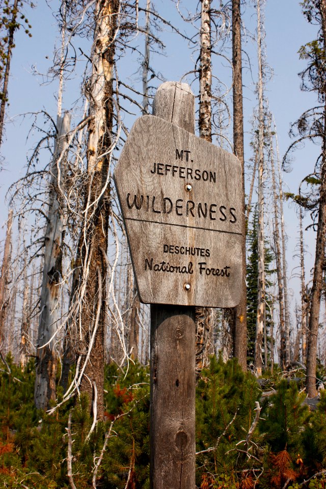 DES MtJeffWildernessSign