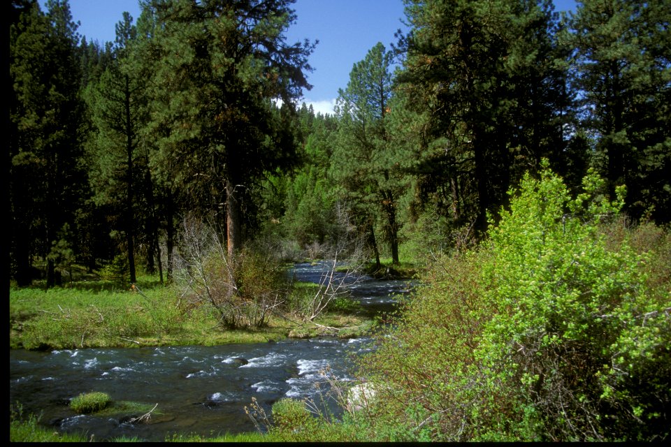 John Day River-Malheur photo