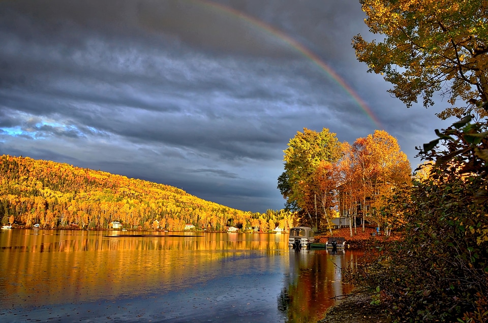 Nature colors leaves