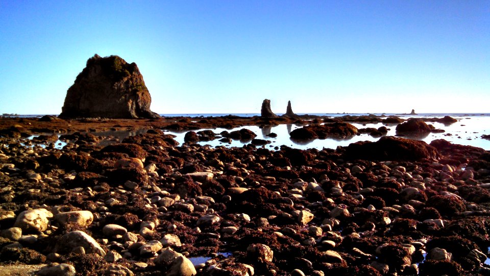 Rocky shorelines and seastacks hint at the dramatic geologic history of the Olympic Peninsula photo