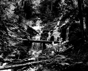 Willamette NF - Upper Proxy Falls in TSW, OR 1979 photo