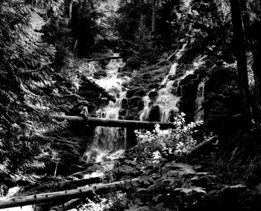 Willamette NF - Upper Proxy Falls in TSW, OR 1979