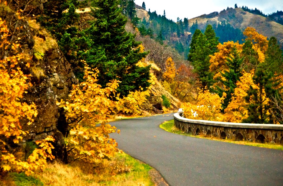 MOSIER TWIN TUNNELS TRAIL IN FALL