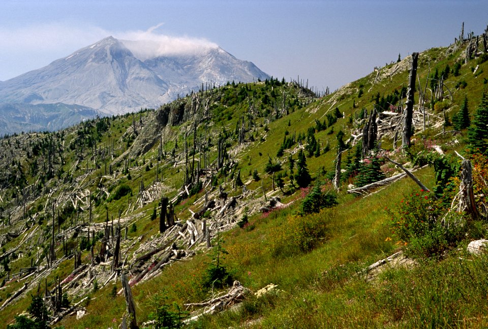Gifford Pinchot National Forest, Mt St Helens NVM, blast zone,  from Mt Margaret.jpg