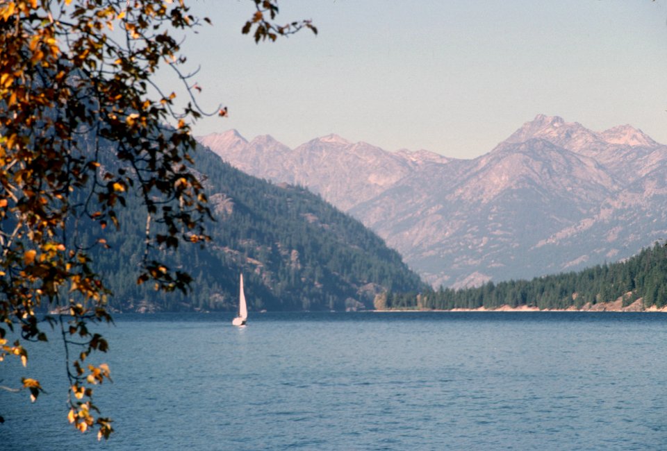Sailboat on Lake Chelan, Okanogan-Wenatchee National Forest.jpg