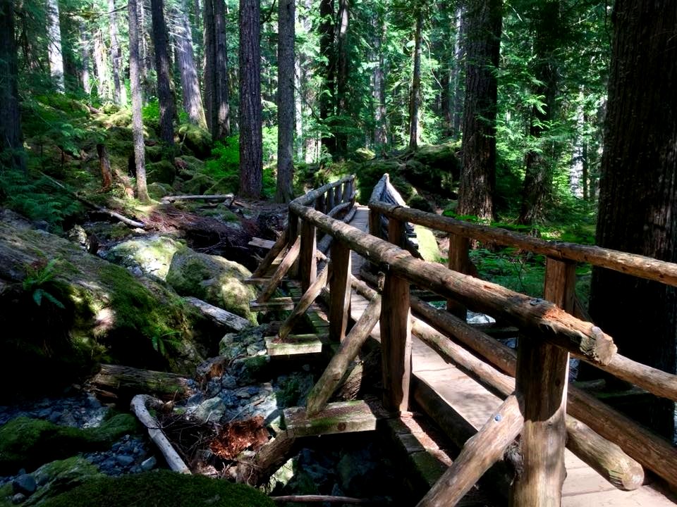 Trail bridge at Lena Lake June 2018