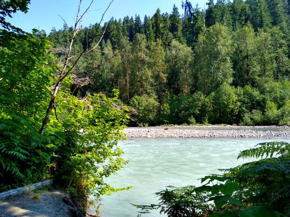 Summertime Sauk River along Old Sauk Trail, Mt. Baker-Snoqualmie National Forest. Photo by Anne Vassar July 30, 2020.