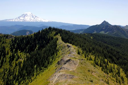Juniper Ridge Trail (261) and Mount Adams, looking southeast on the Gifford Pinchot National Forest
