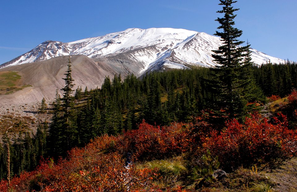 Autumn colors at Sheep Canyon, Mount St Helens National Volcanic Monument