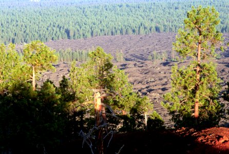 Lava Lands, Deschutes National Forest.jpg photo