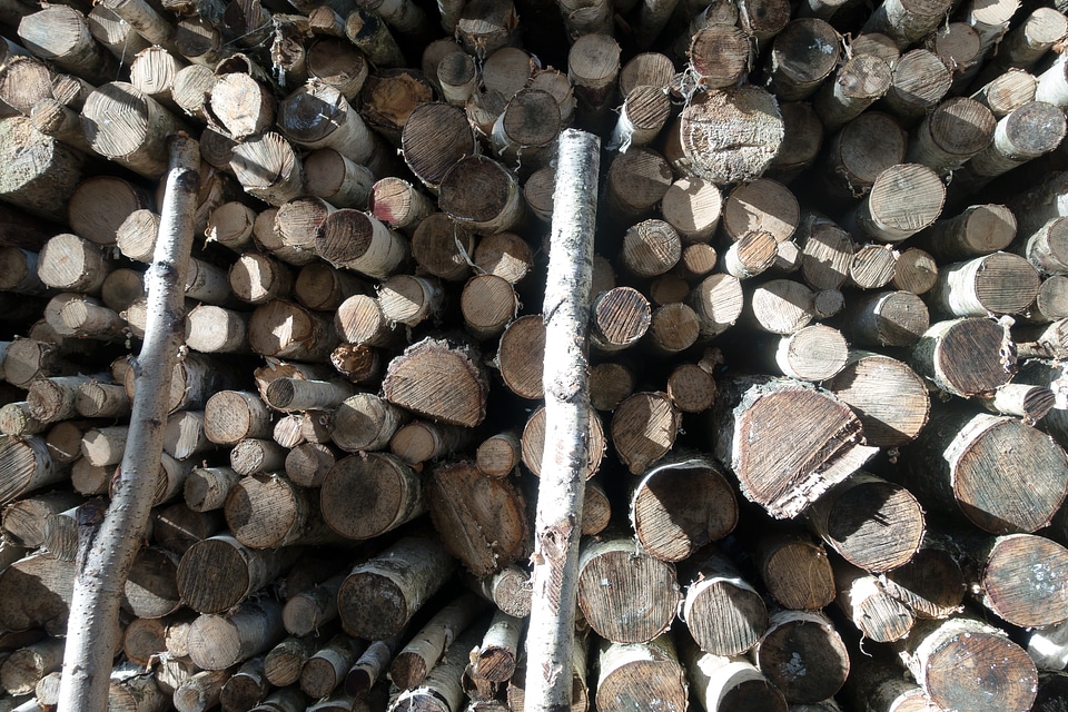 Holzstapel growing stock timber
