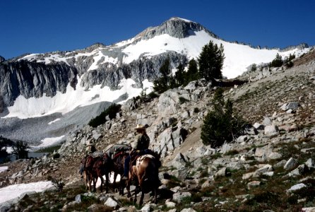 Backcountry rangers lead packtrain in the Eagle Cap Wilderness, Wallowa-Whitman National Forest photo