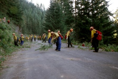 262 Rogue River Siskiyou National Forest, Biscuit Fire