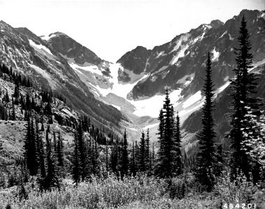 484201 Suittle Pass, Miners Cr, Mt Baker NF, WA 1955 photo