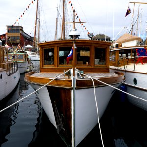 Port Townsend Wooden Boat Festival photo