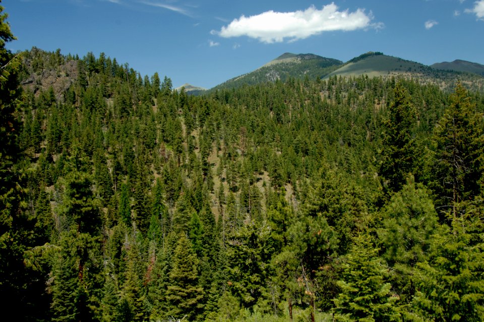 Aldrich Mountain Range from Fields Peak-Malheur