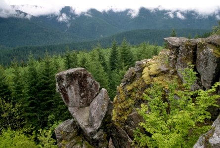 Boulders and Forest, Mt Hood National Forest.jpg photo