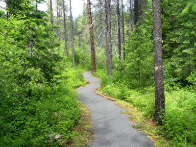Colville NF log flume trail June 2020 by Sharleen Puckett 10
