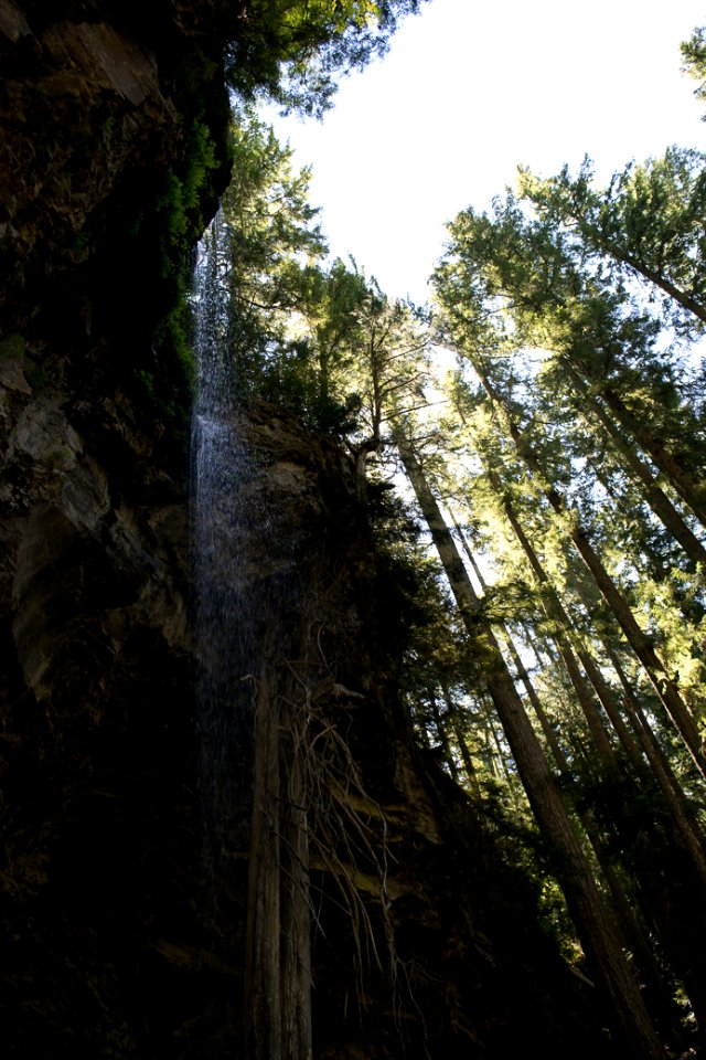 Grotto Falls, Umpqua National Forest