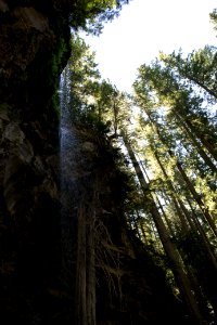 Grotto Falls, Umpqua National Forest