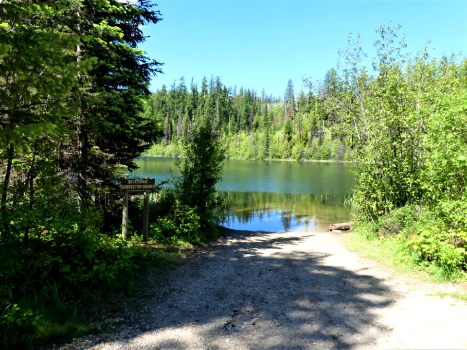 Colville NF Davis Lake June 2020 by Sharleen Puckett 12
