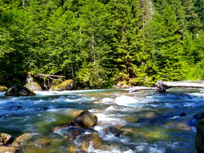 Sauk River Near Bedal Campground, Mt. Baker-Snoqualmie National Forest. Photo taken by Anne Vassar June 23, 2020