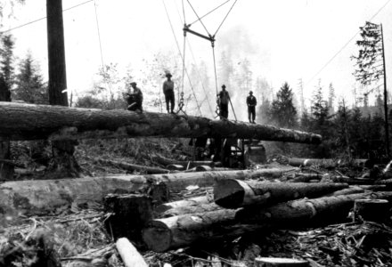 259 early Logging