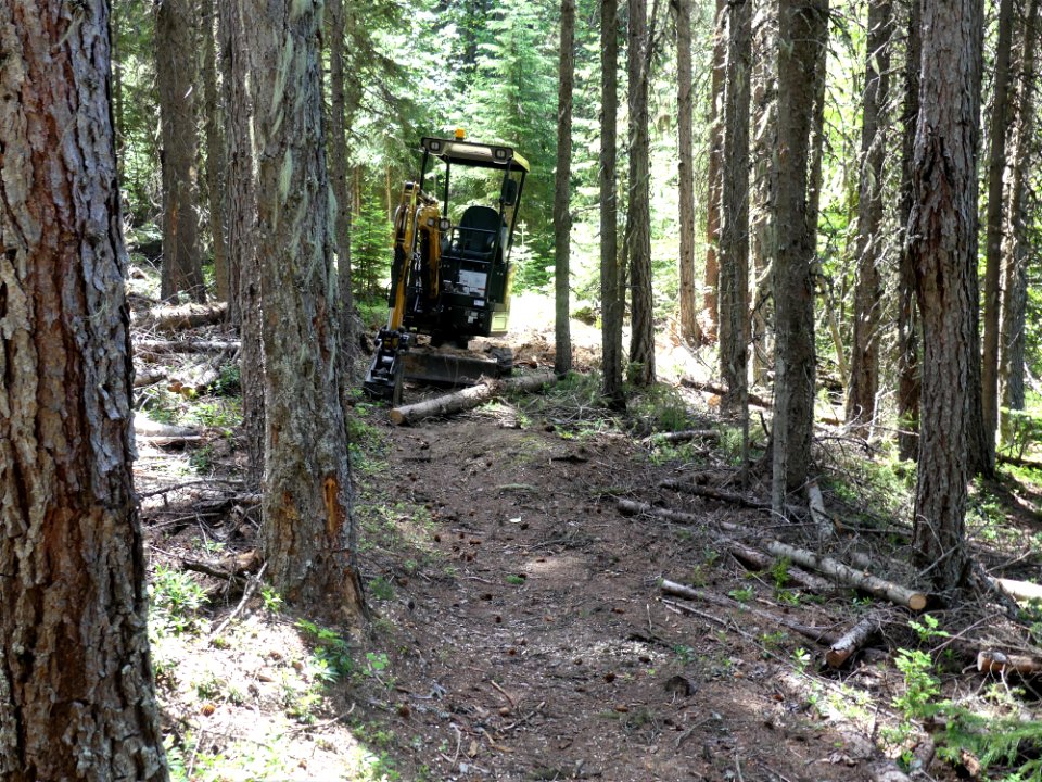 Colville NF Big Meadow Lake Trail equipment June 2020 by Sharleen Puckett