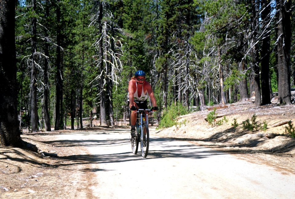 Mountain biking forest road Mt Hood National Forest.jpg