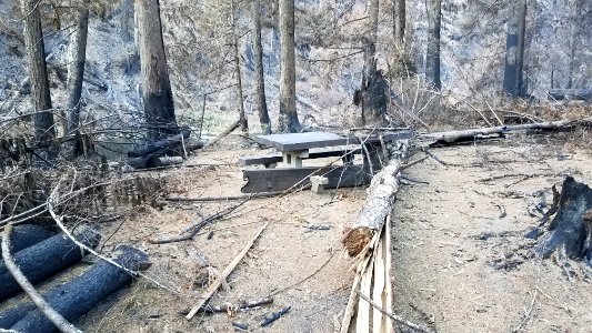 Picnic site along Clackamas River after Riverside Fire, Mt. Hood National Forest