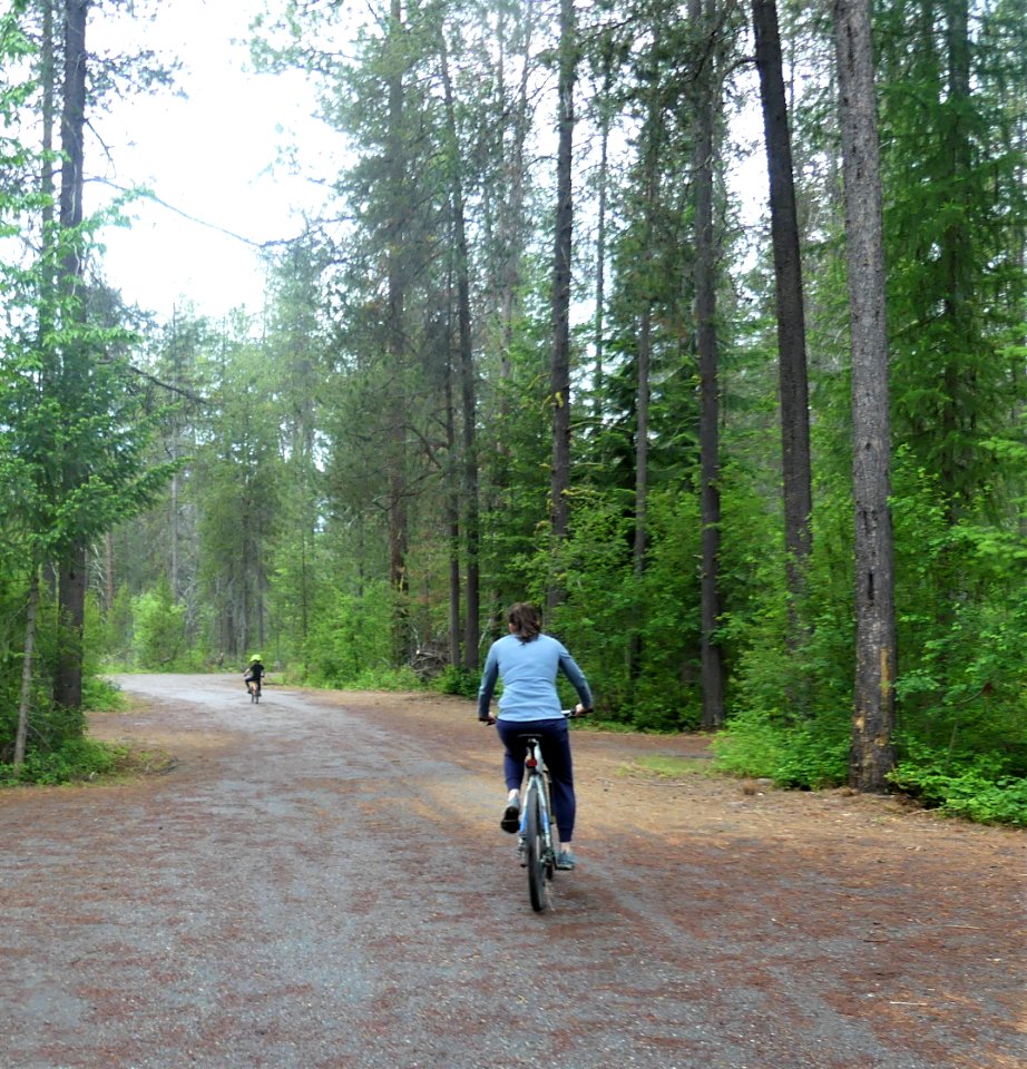Colville NF log flume trail June 2020 by Sharleen Puckett 7