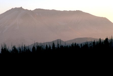 Gifford Pinchot National Forest, Mt St Helens NVM.jpg photo