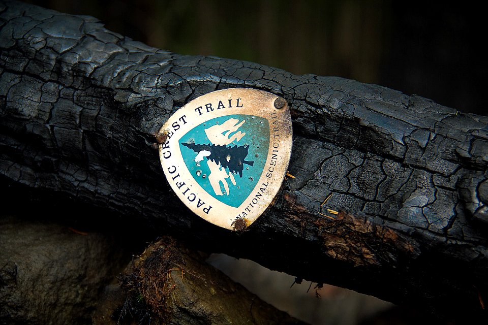Pacific Crest Trail sign on burned log, photo courtesy of Terry Hill
