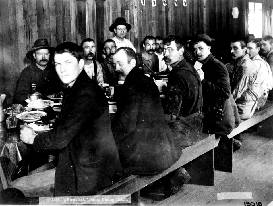 19016 Logging Camp - Kinsey Photo, WA 1901