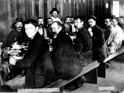 19016 Logging Camp - Kinsey Photo, WA 1901