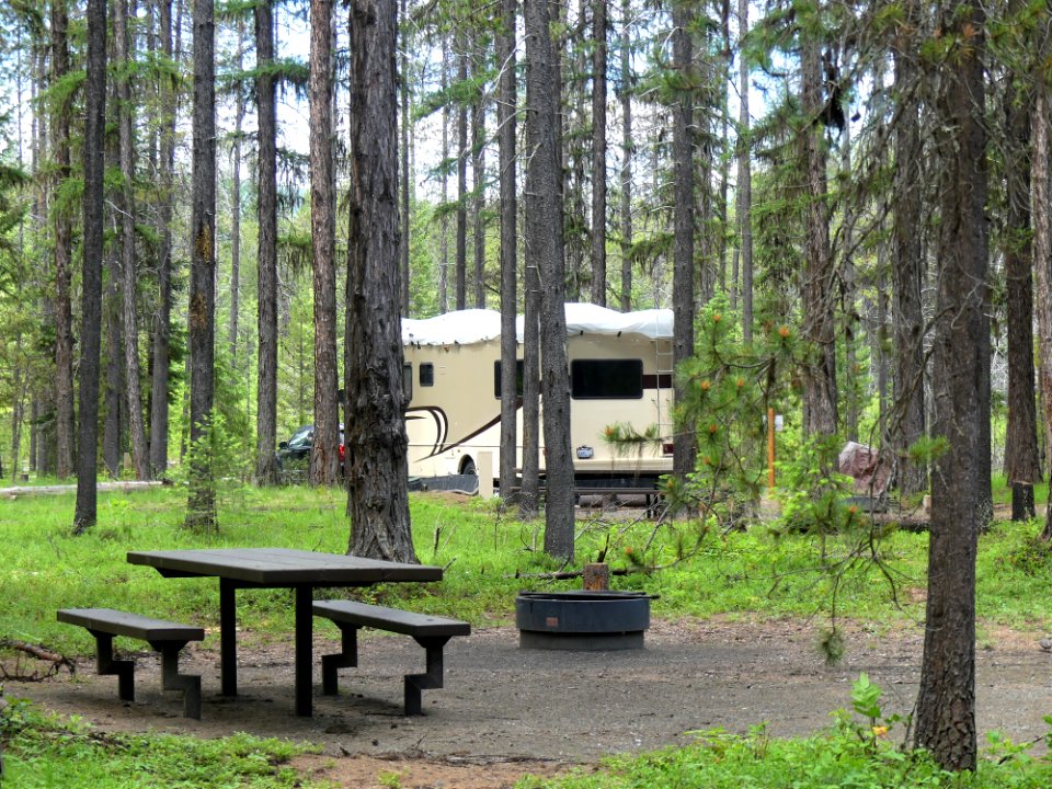 Colville NF Gillette Lake Campground June 2020 by Sharleen Puckett 23