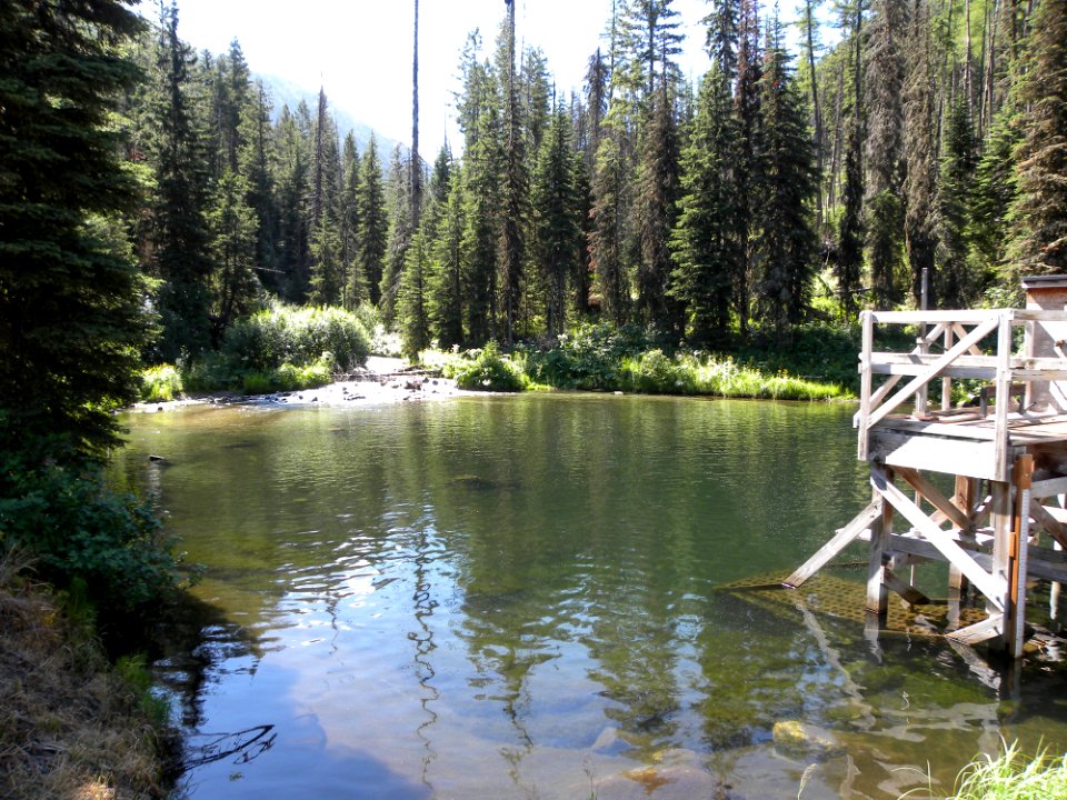 Wallowa Falls Hydroelectric Project Abatement Pool